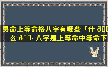 男命上等命格八字有哪些「什 🕊 么 🕷 八字是上等命中等命下等命」